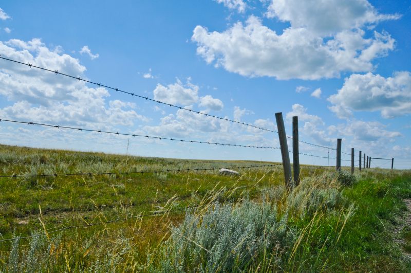 Affordable Barbed Wire Fencing — cost of