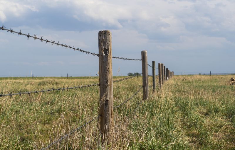 Affordable Barbed Wire Fencing — cost of