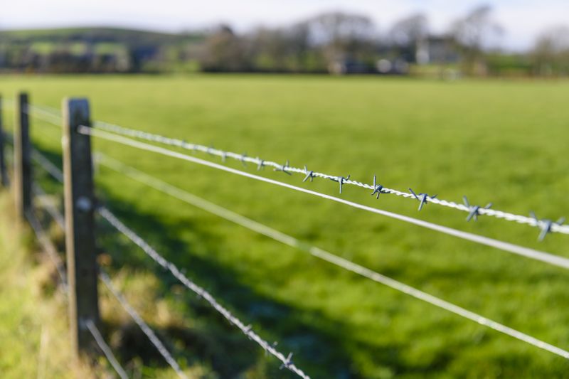 Affordable Barbed Wire Fencing — cost of
