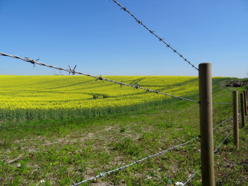 Affordable Barbed Wire Fencing — cost of