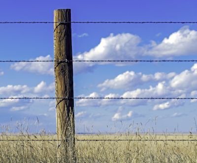 Affordable Barbed Wire Fencing — cost of