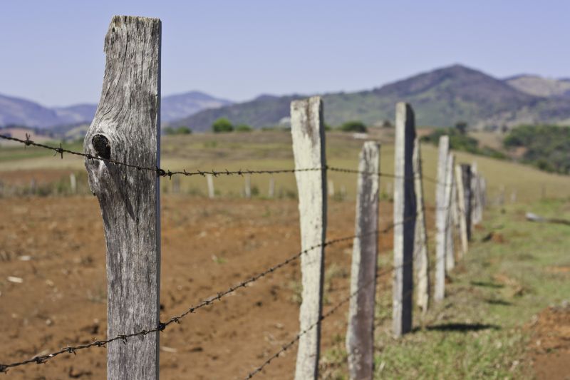 Barbed Wire Fence in Rural Area