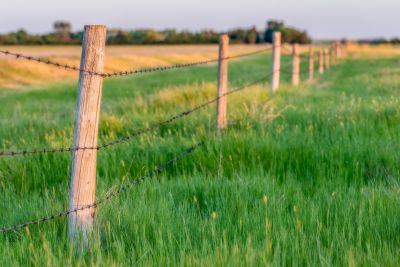 Barbed Wire on Posts