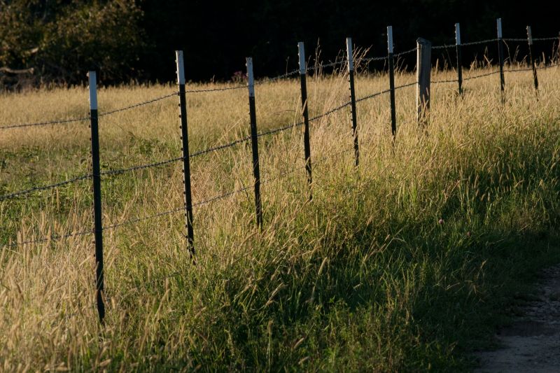 Barbed Wire Fencing