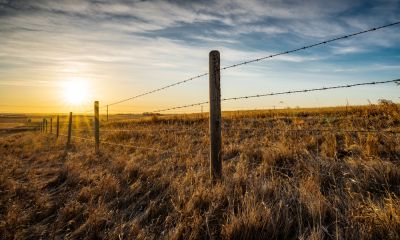Barbed Wire Fencing - Barbed Wire Fencing Lawton, Oklahoma